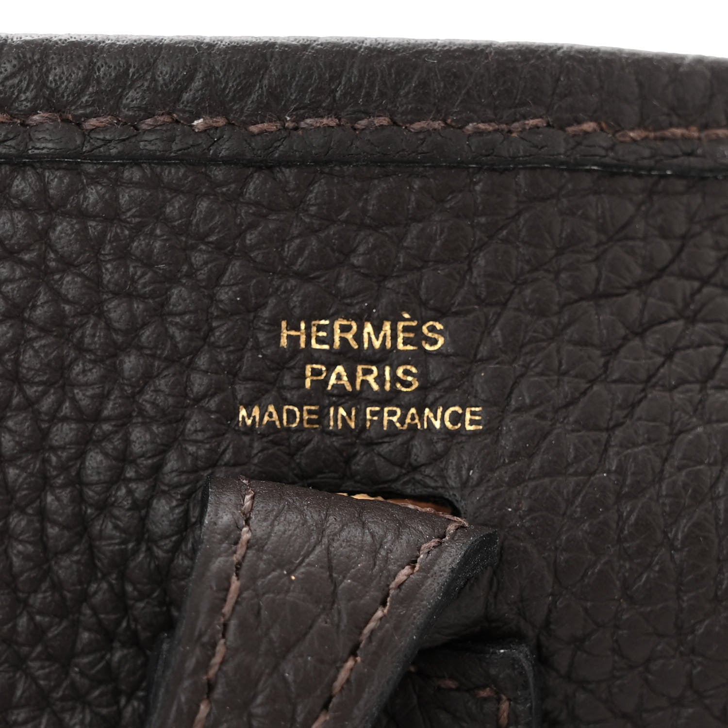 Taurillon Clemence Evelyne TPM Chocolate