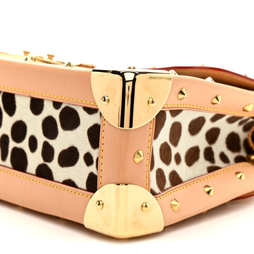 Monogram Multicolor Dalmatian Sac Rabat