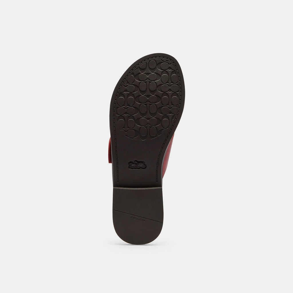 Coach Outlet Crisscross Buckle Sandal