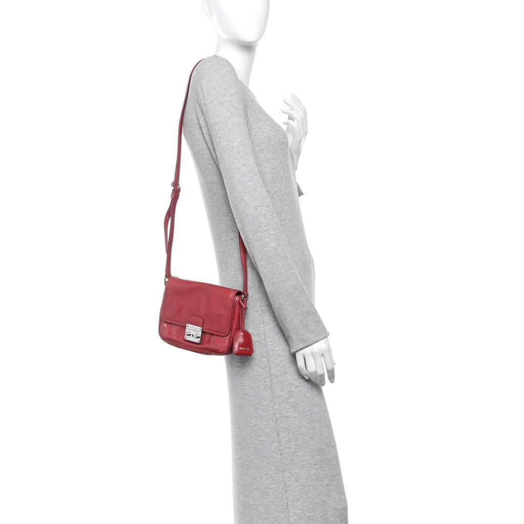 Vitello Shine Crossbody Bruyere