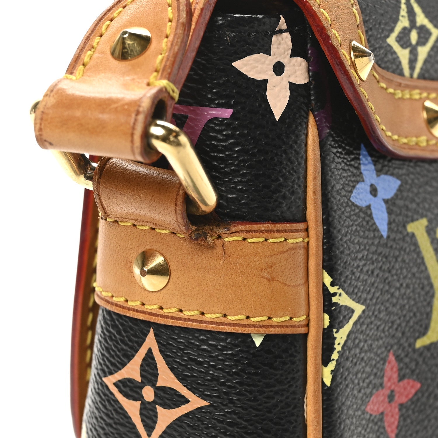 Monogram Multicolor Sologne Black