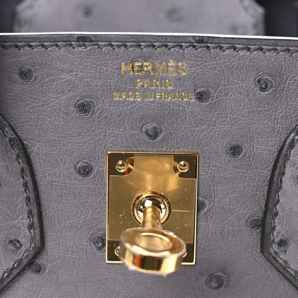 Ostrich Birkin 25 Gris Agate