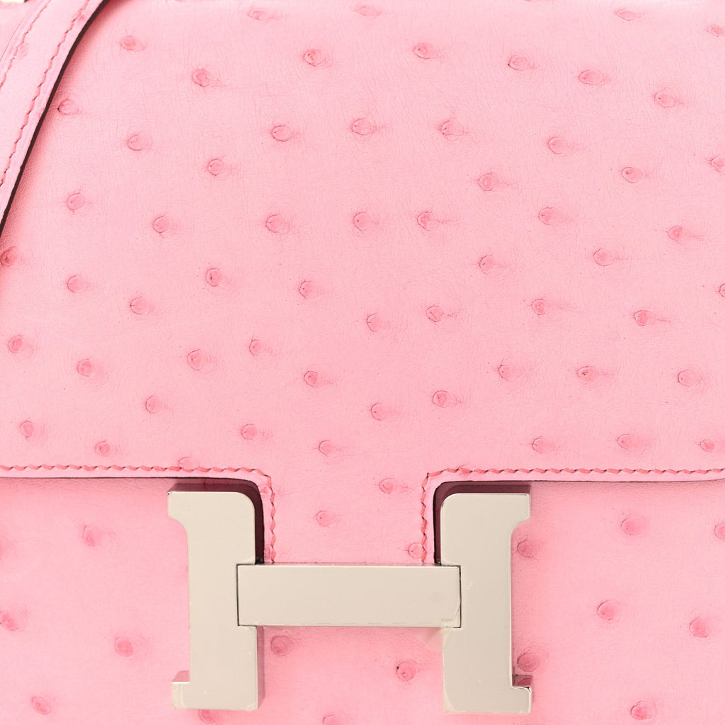 Ostrich Constance 18 Bubblegum