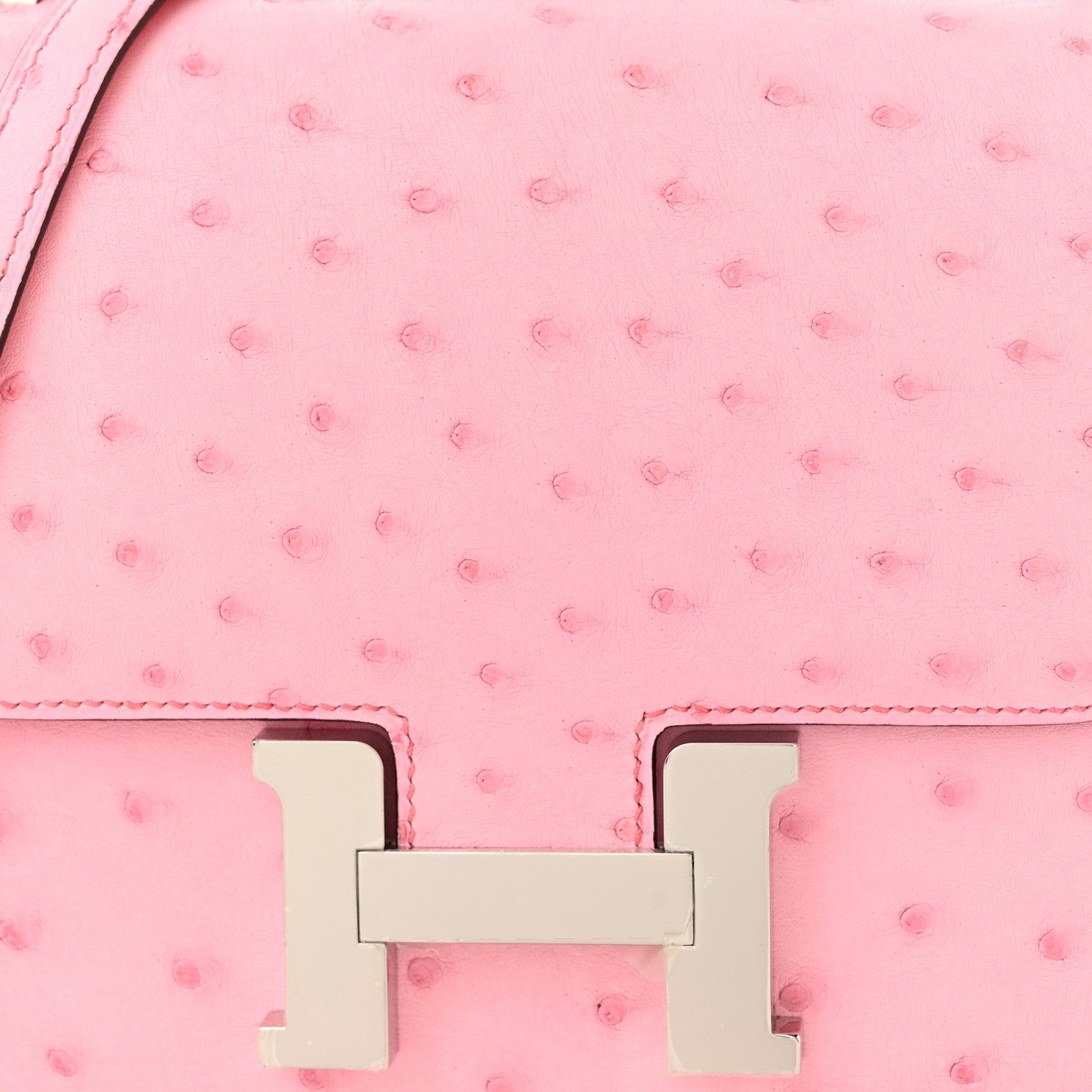 Ostrich Constance 18 Bubblegum