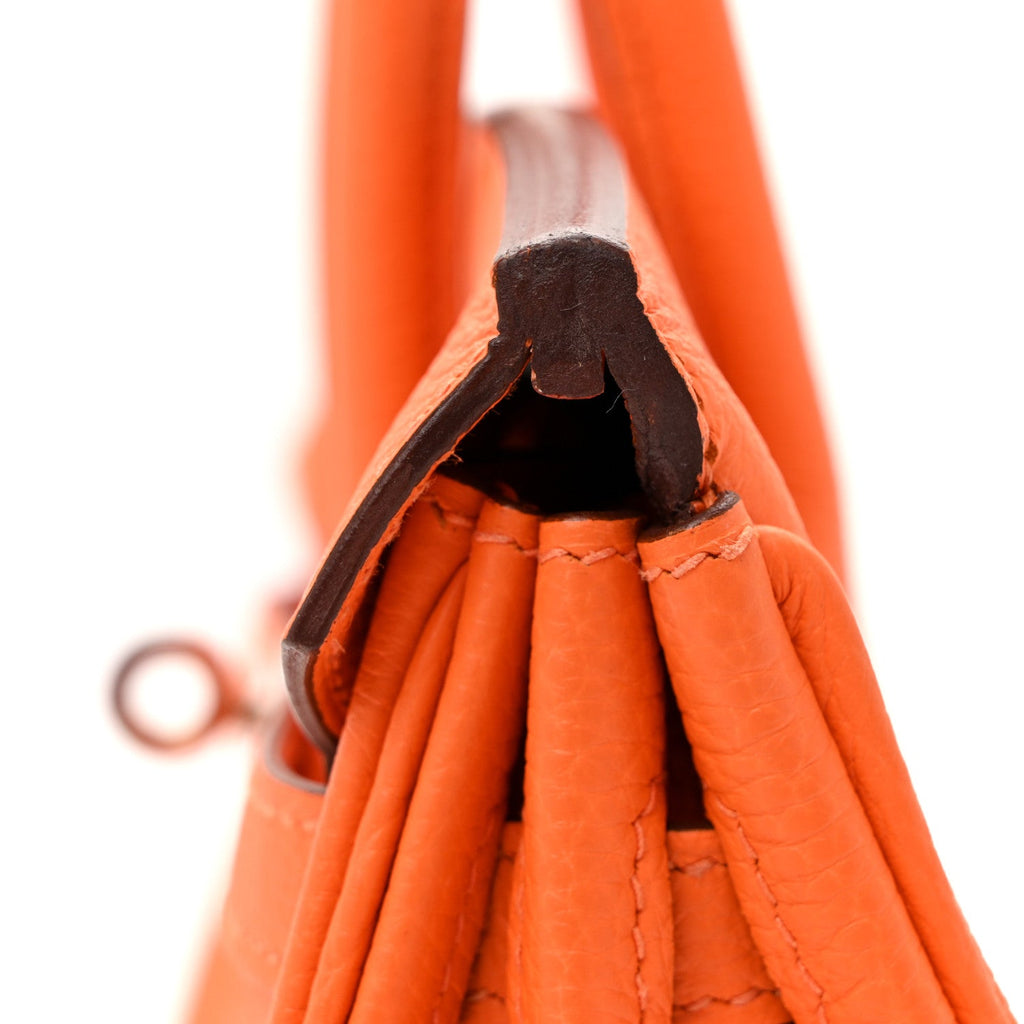 Togo Birkin 25 Orange Minium