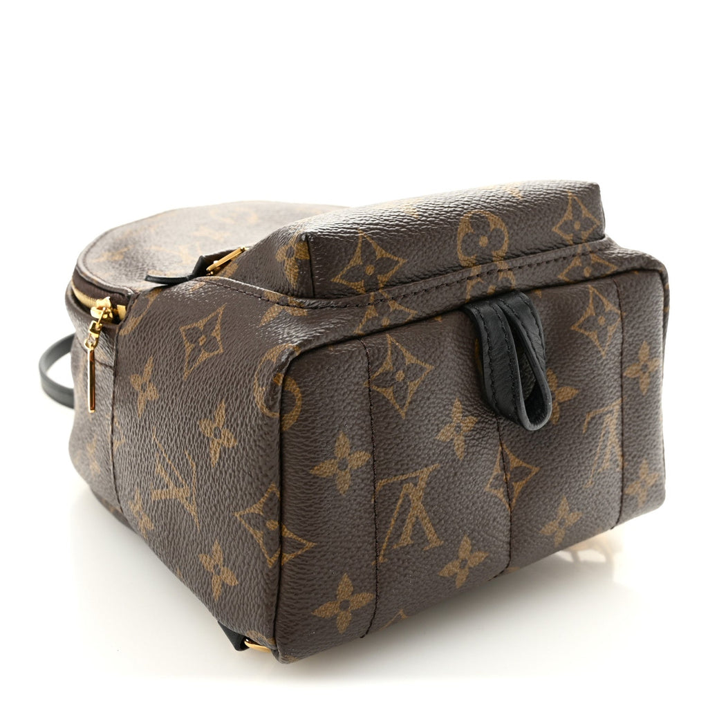 Monogram Palm Springs Backpack Mini