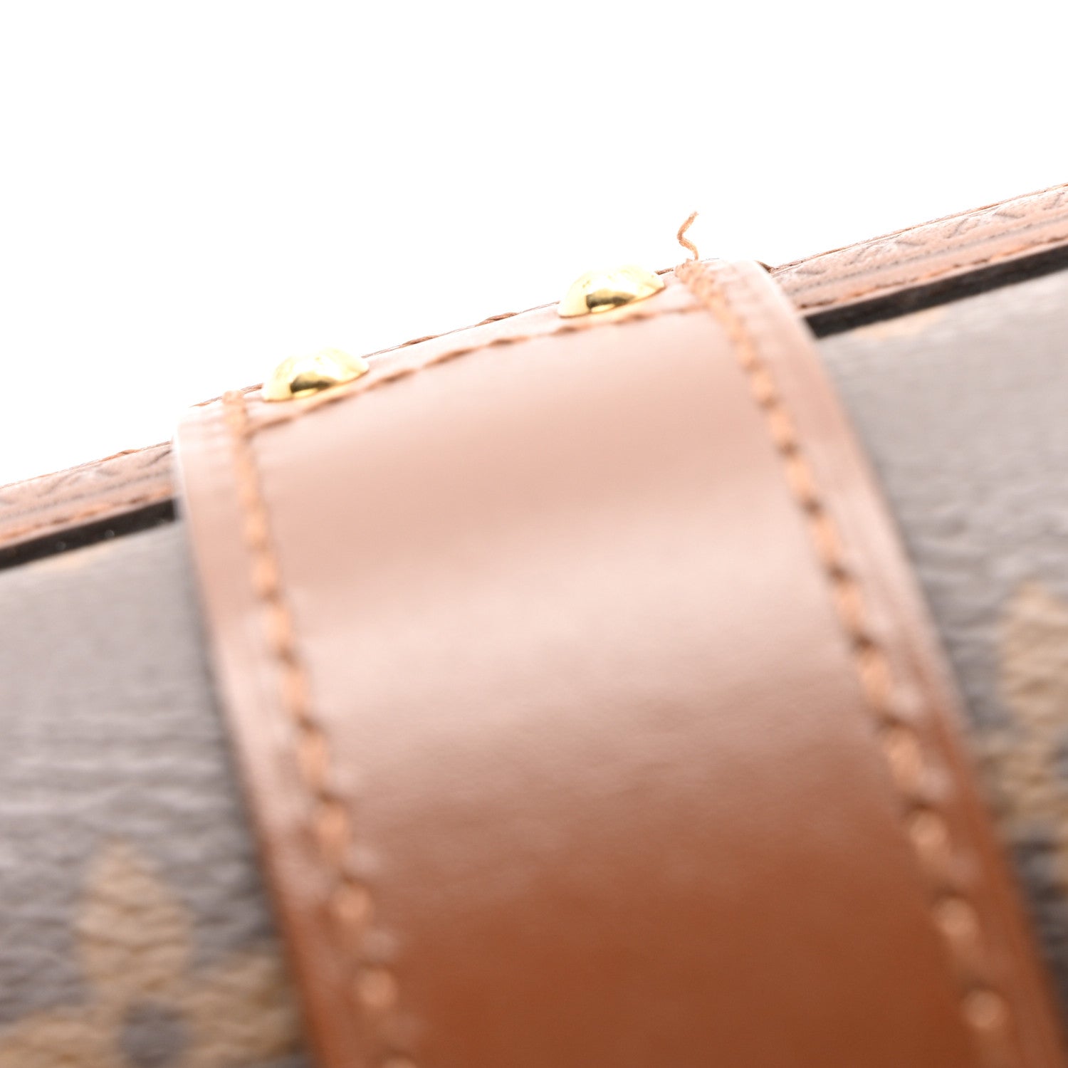 Monogram Papillon Trunk