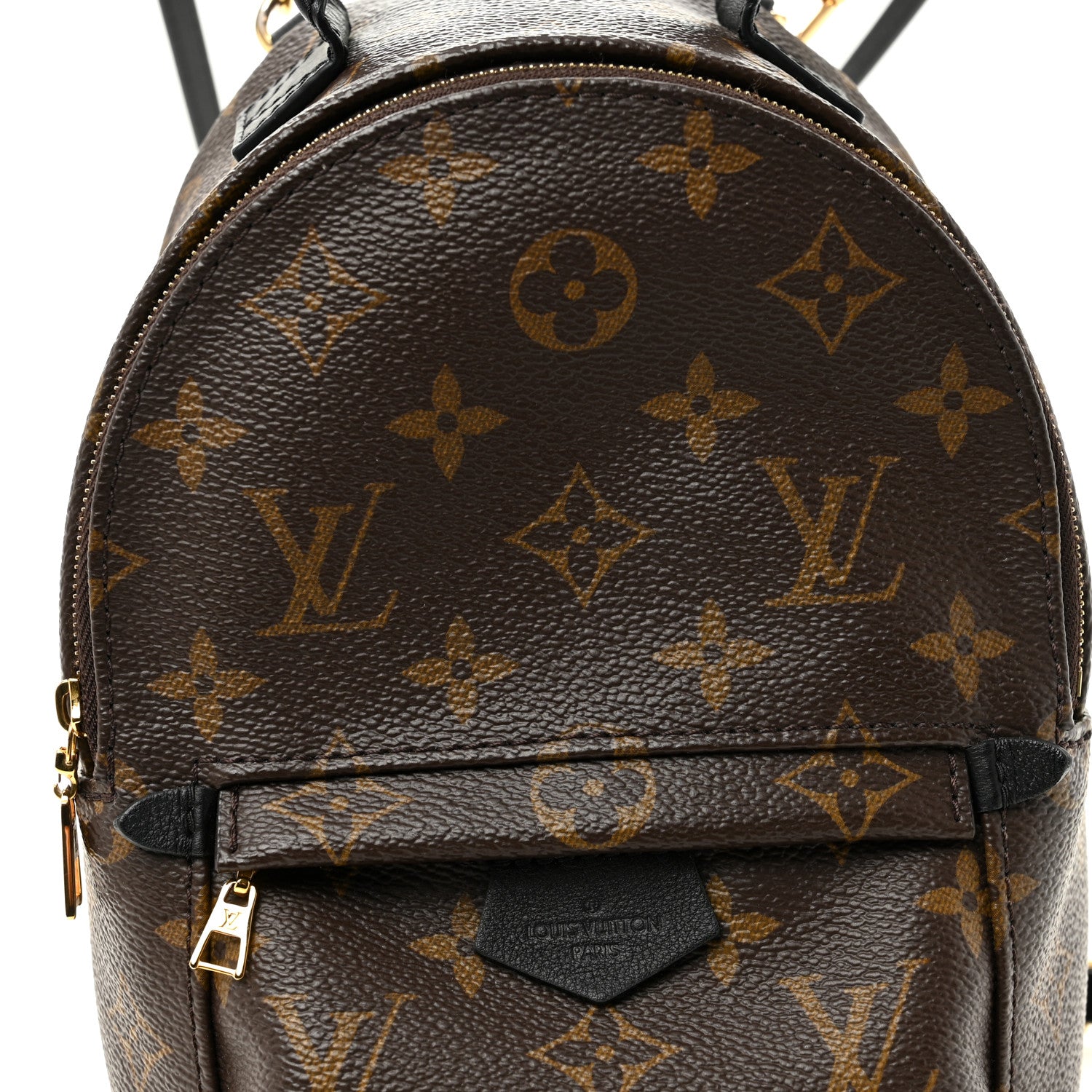 Monogram Palm Springs Backpack Mini