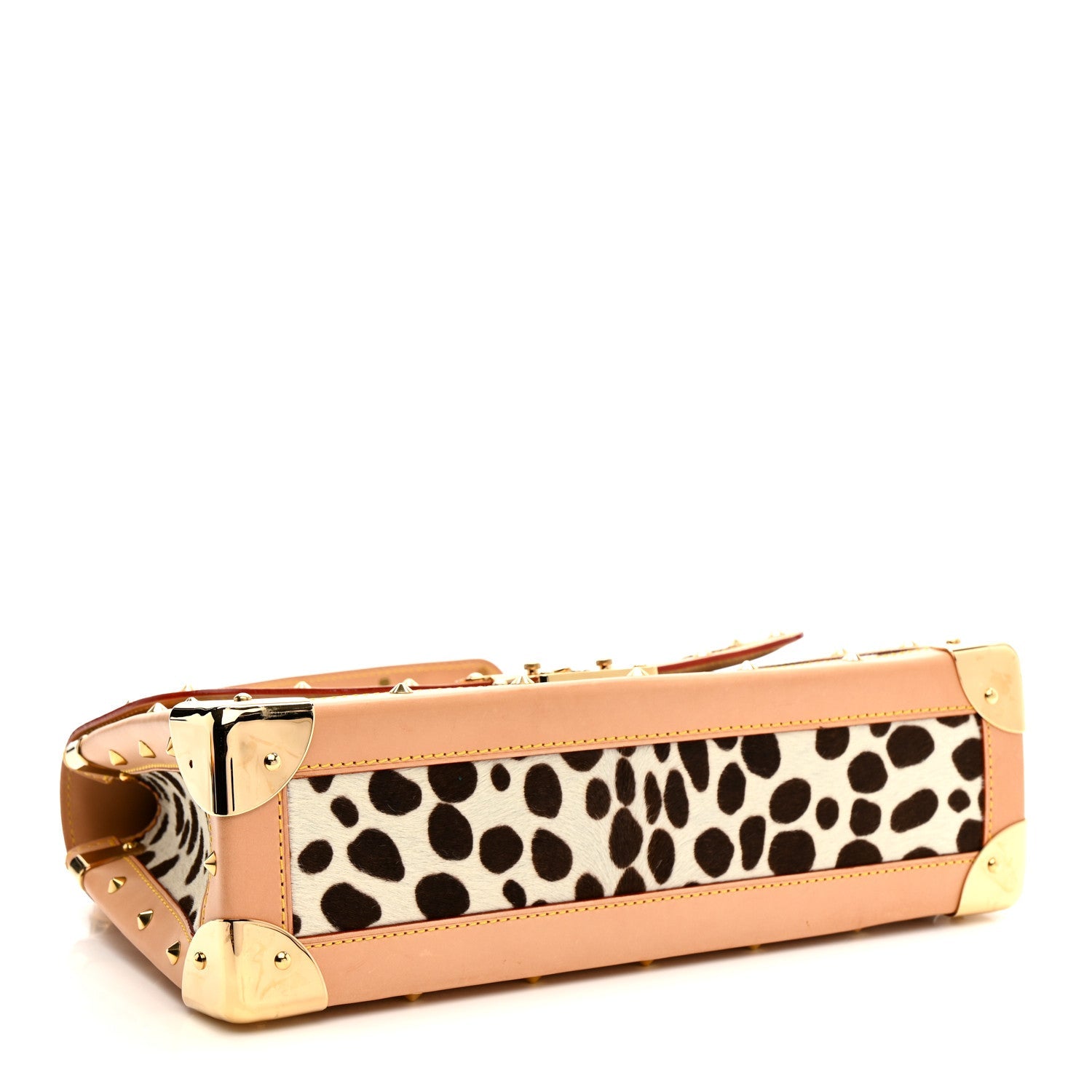 Monogram Multicolor Dalmatian Sac Rabat