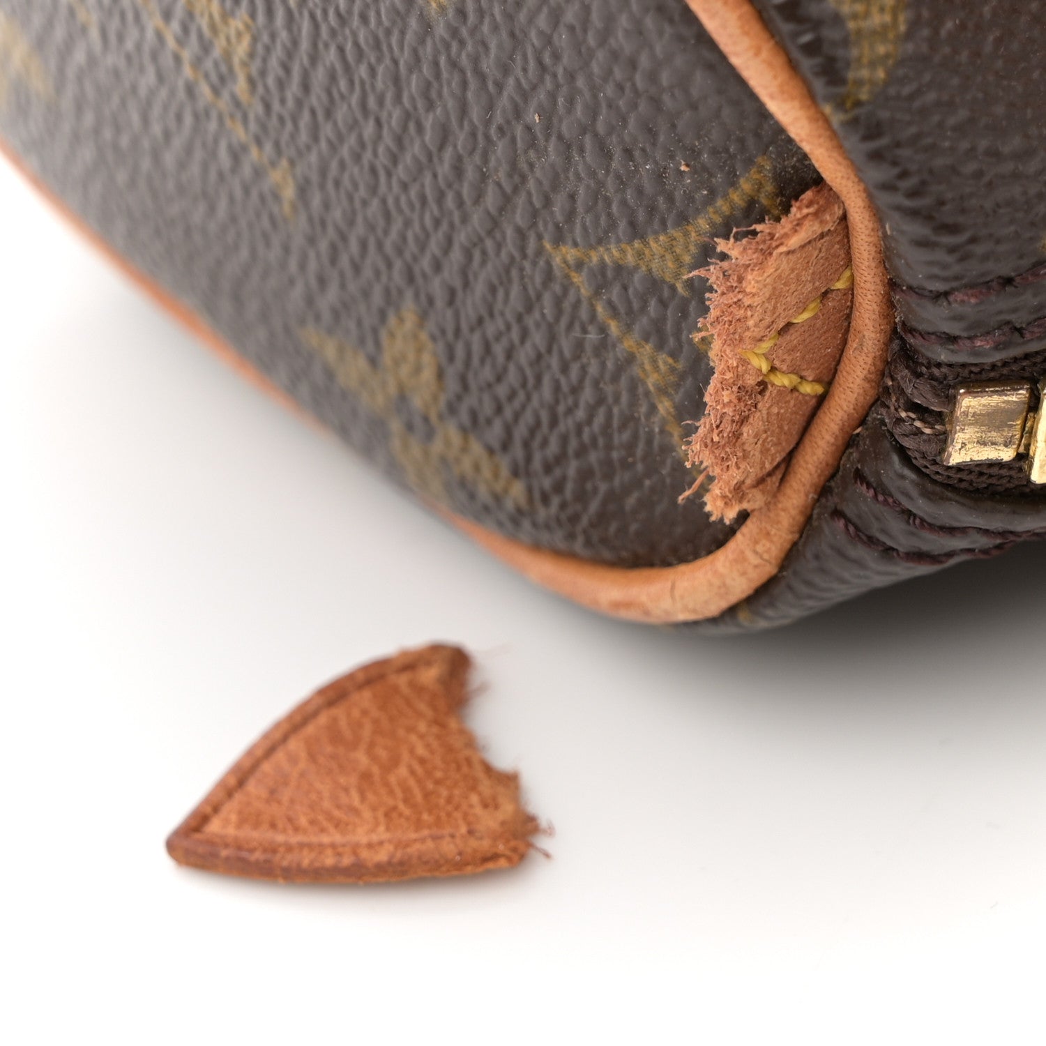 Monogram Mini Sac HL Speedy