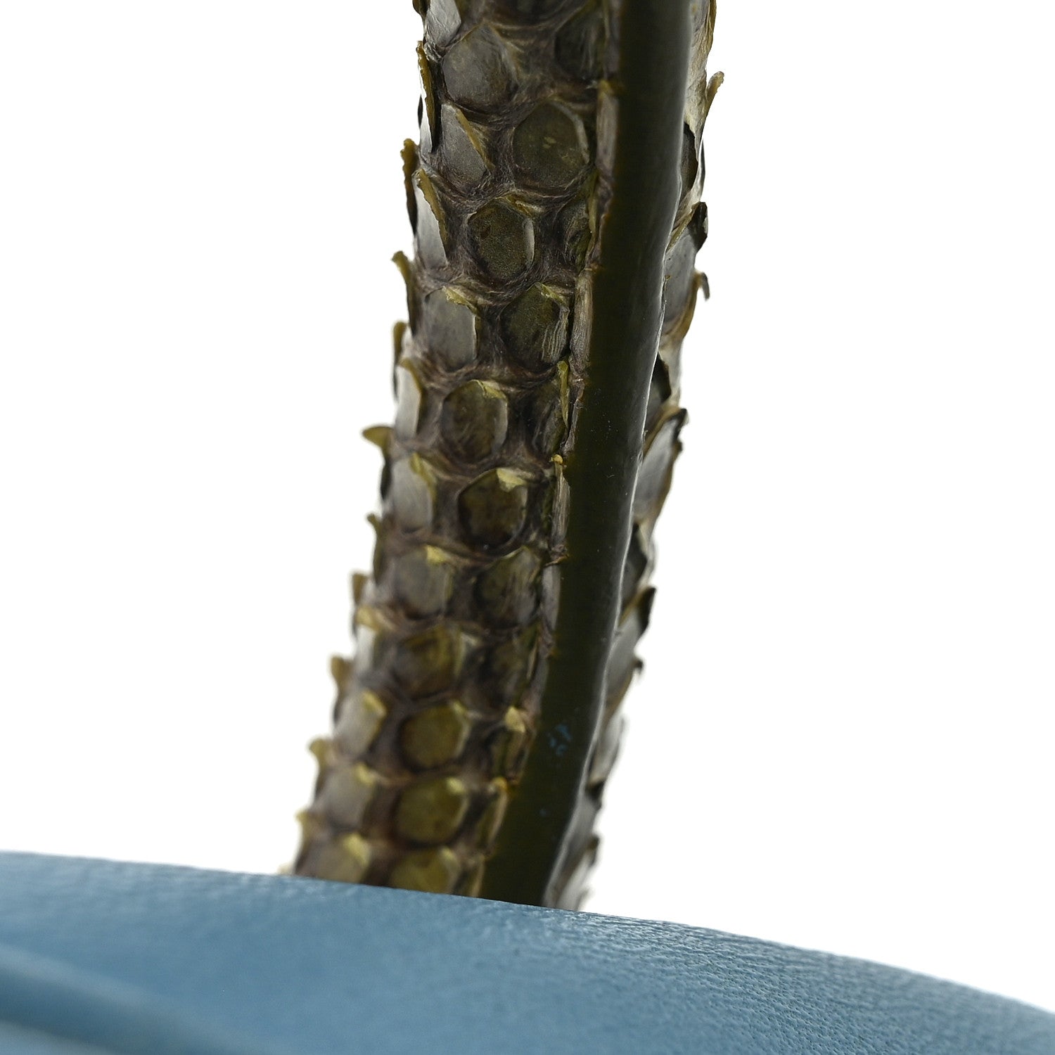 Nappa Vernice Snakeskin Bowler Cognac Astrale