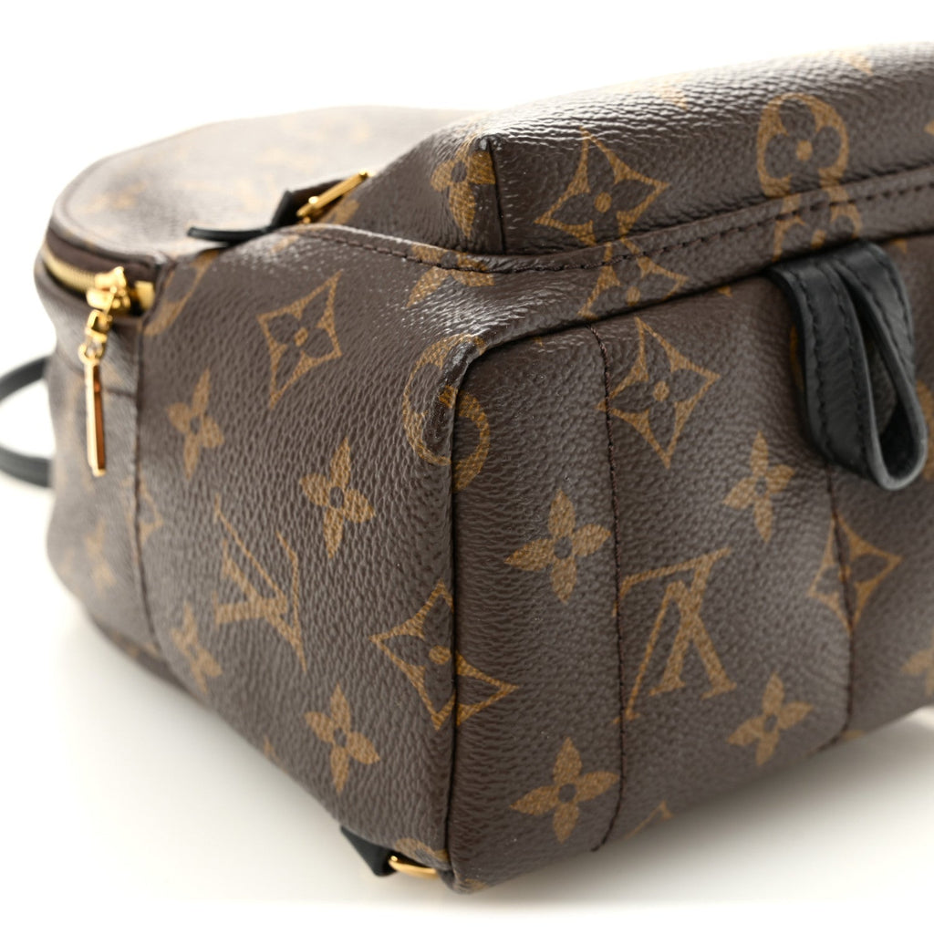 Monogram Palm Springs Backpack Mini