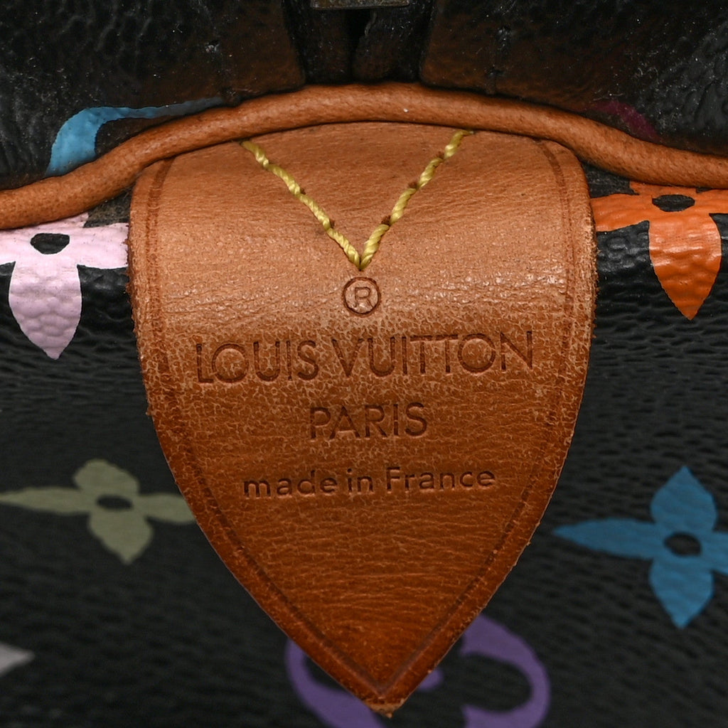 Monogram Multicolor Speedy 30 Black