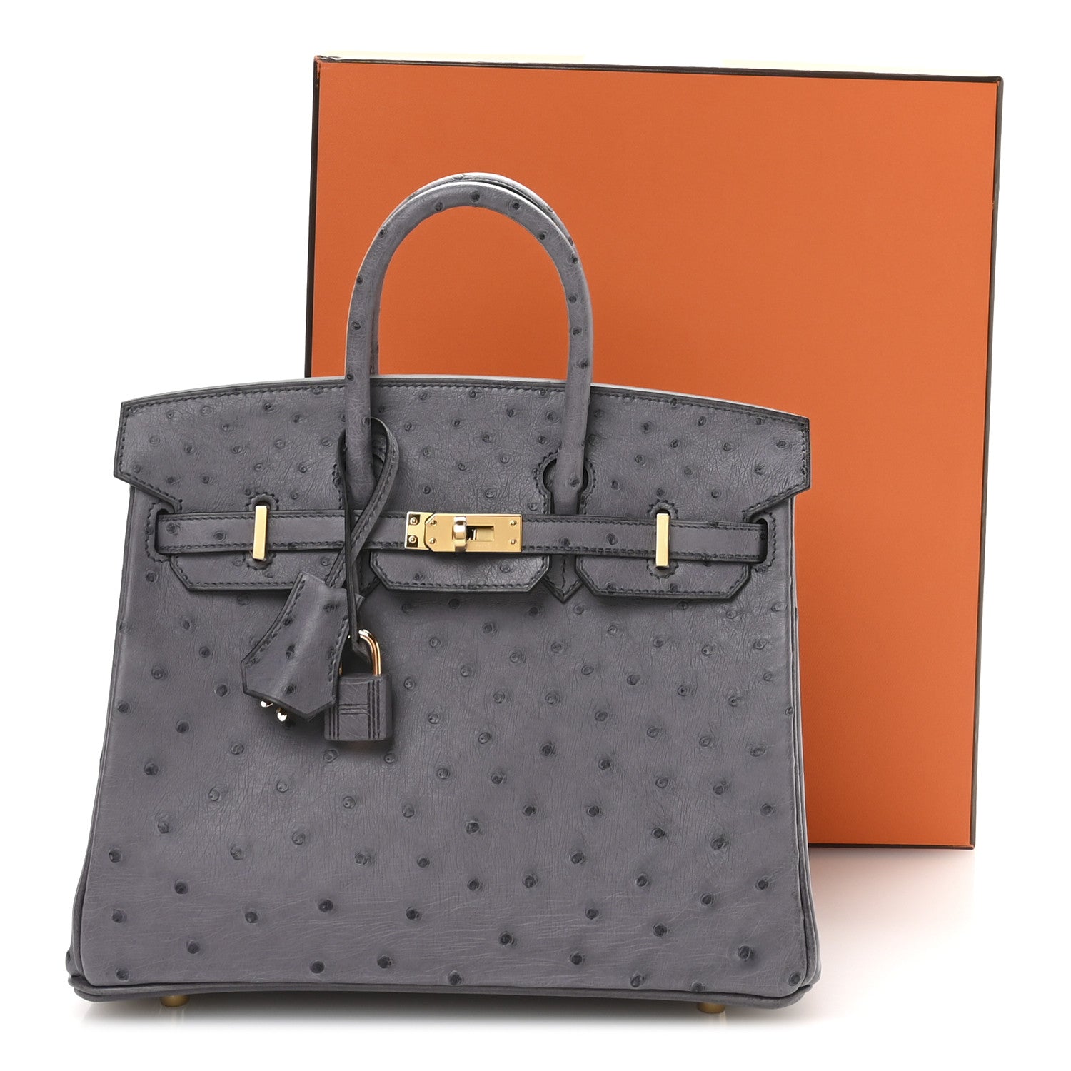 Ostrich Birkin 25 Gris Agate