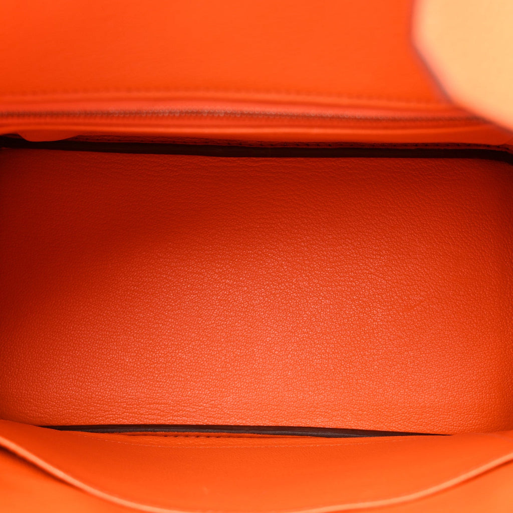 Togo Birkin 25 Orange Minium