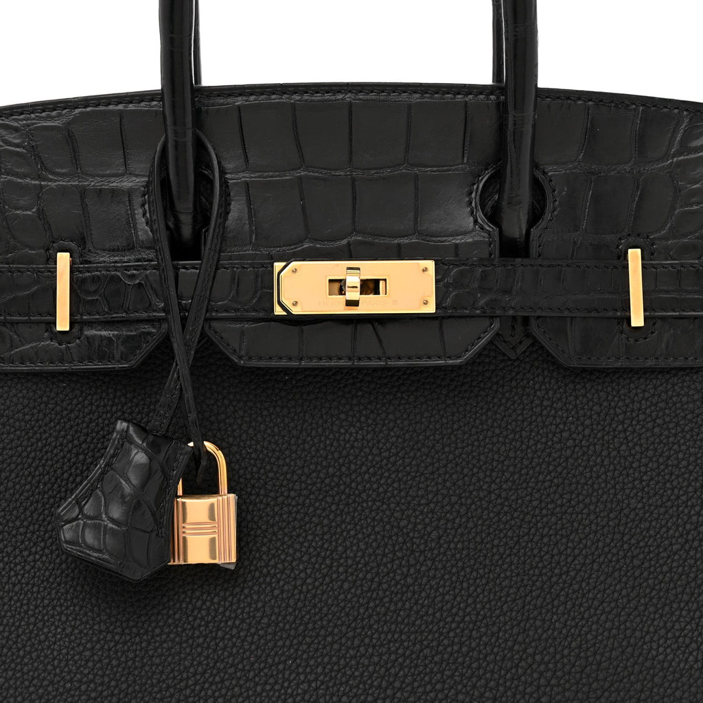 Togo Matte Alligator Birkin Touch 30 Black