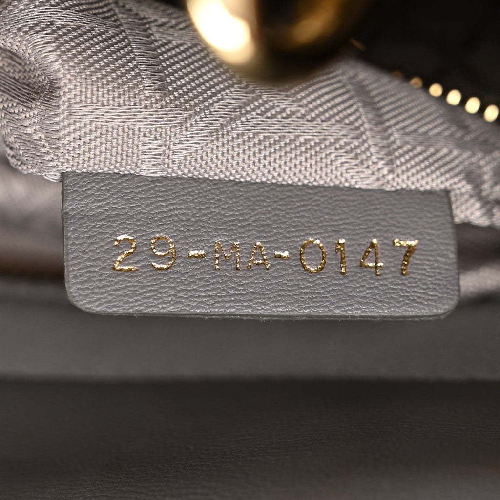 Lambskin Cannage Small Lucky Badges My Lady Dior Grey