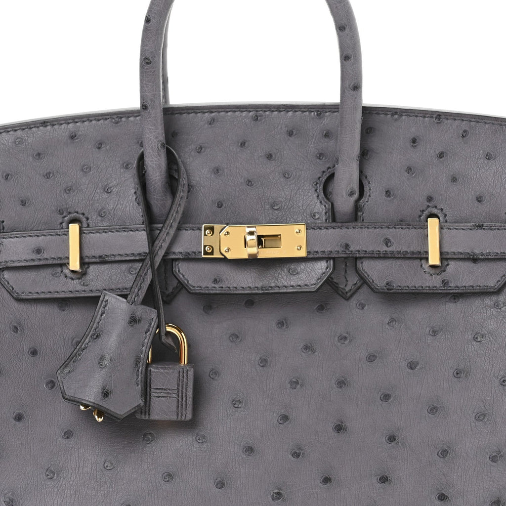 Ostrich Birkin 25 Gris Agate