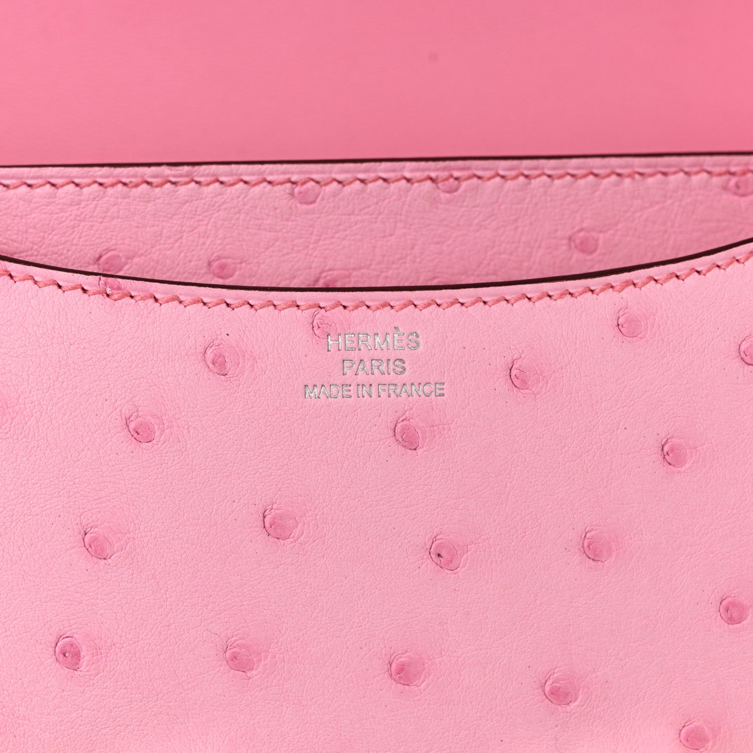 Ostrich Constance 18 Bubblegum