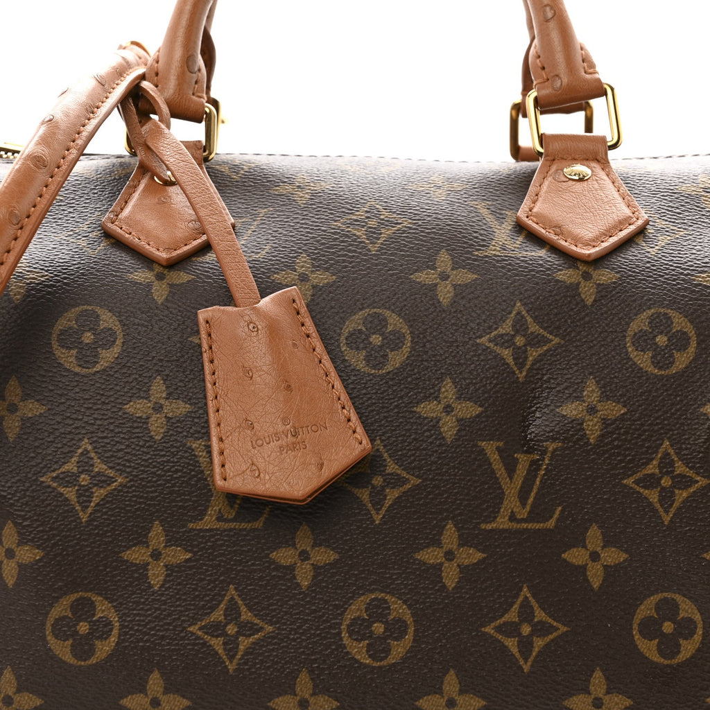 Monogram Speedy Soft 30 Boho
