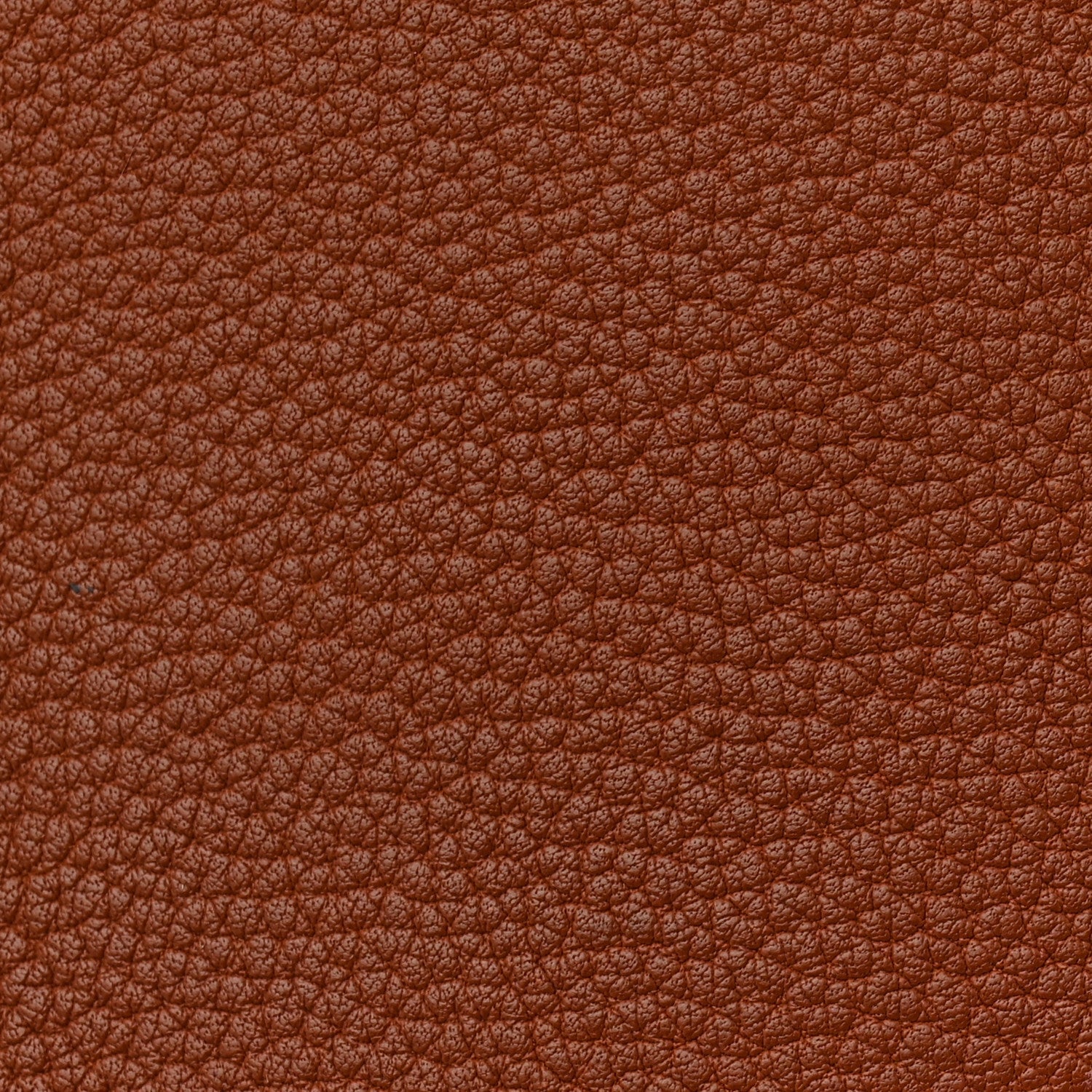 Chévre de Coromandel Plume 32 Gold