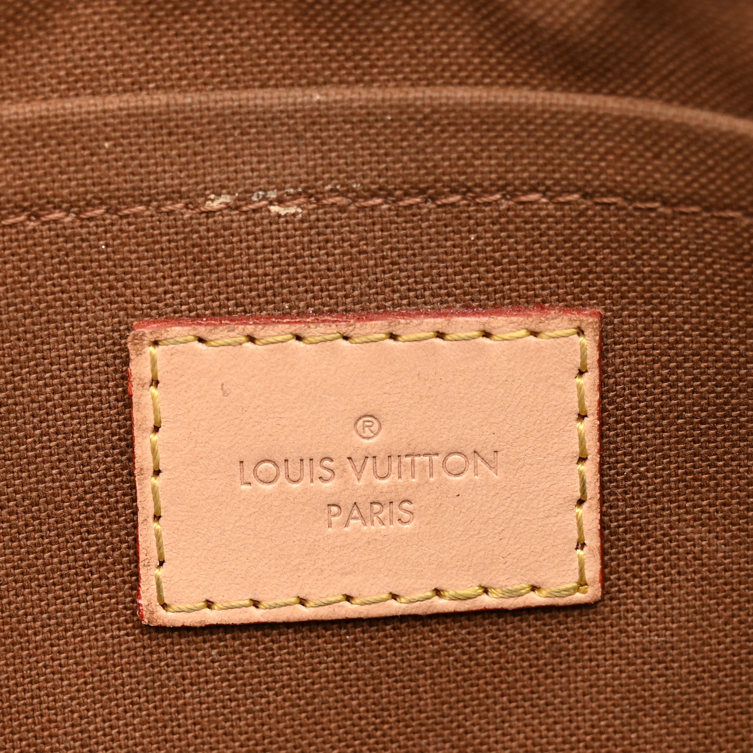 Monogram Multi Pochette Accessories Large Pochette