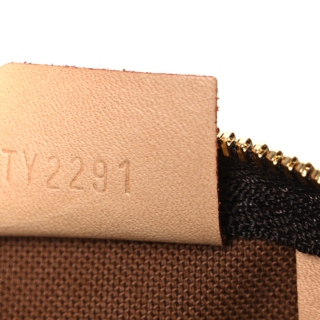 Monogram Nano Speedy