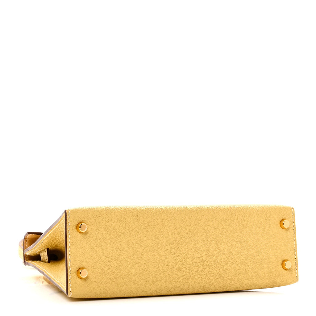 Chevre Mysore Mini Kelly Sellier 20 Foin