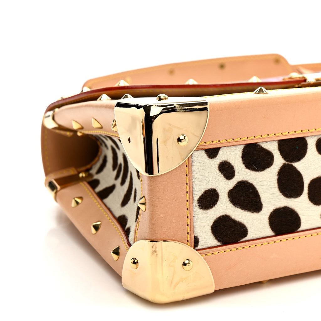 Monogram Multicolor Dalmatian Sac Rabat