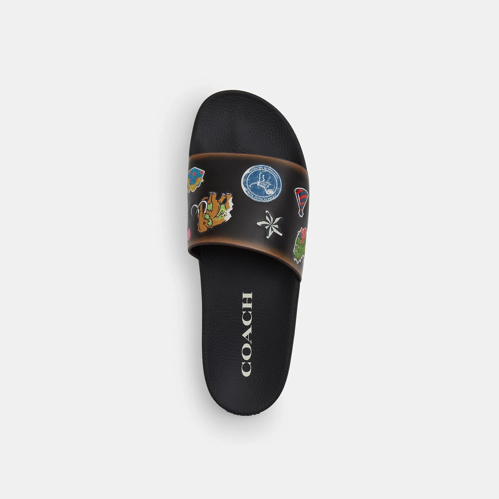 Coach Outlet Rexy 10th Birthday Pool Slide